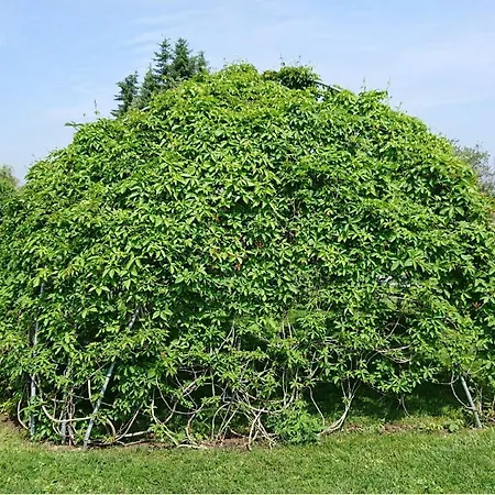 Alte Kaeserei Koessern 度假居