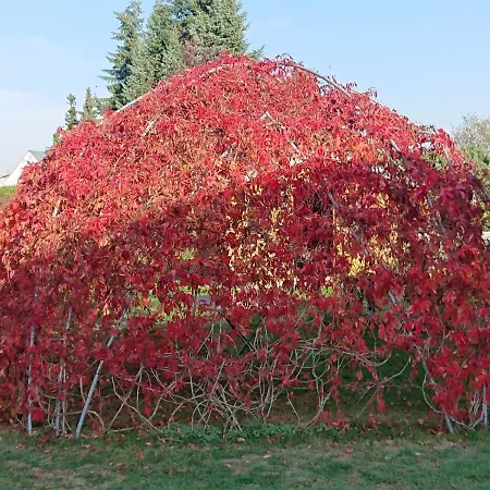 Alte Kaeserei Koessern *